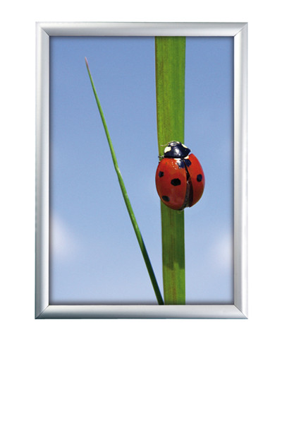 Alu Klapprahmen 25mm - 50x70cm - Maxi-Set